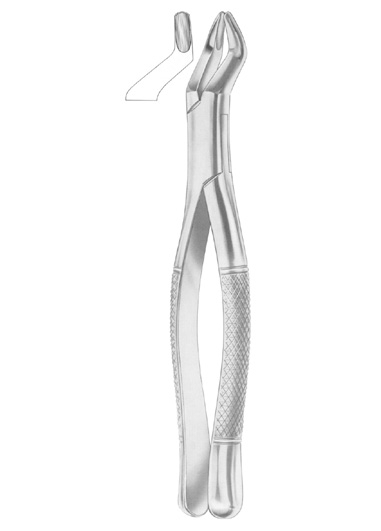 1288 STANDARD Fig. 330-4 upper third molars 